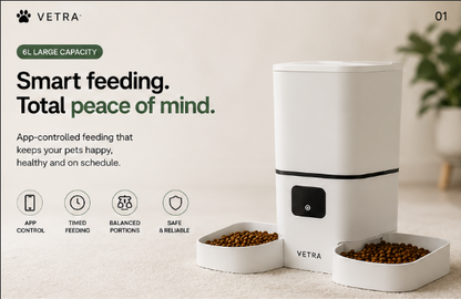 Vetra SyncFeed